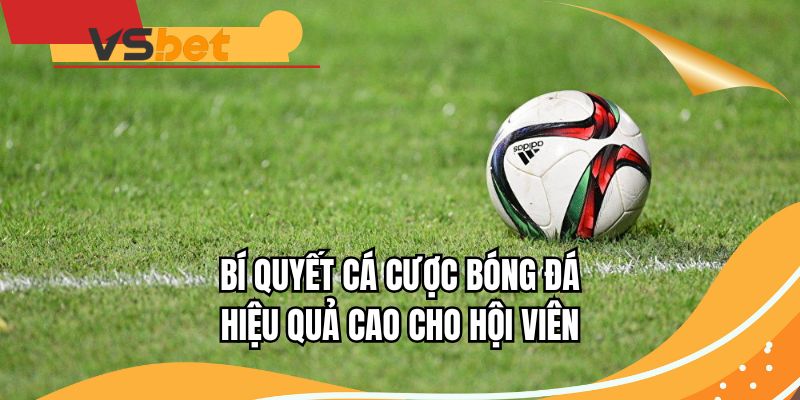 Bí quyết cá cược bóng đá hiệu quả cao cho hội viên