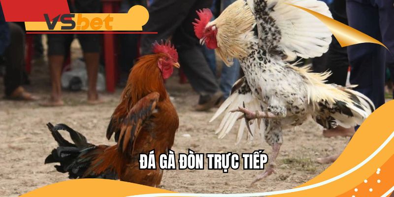 da-ga-don-truc-tiep