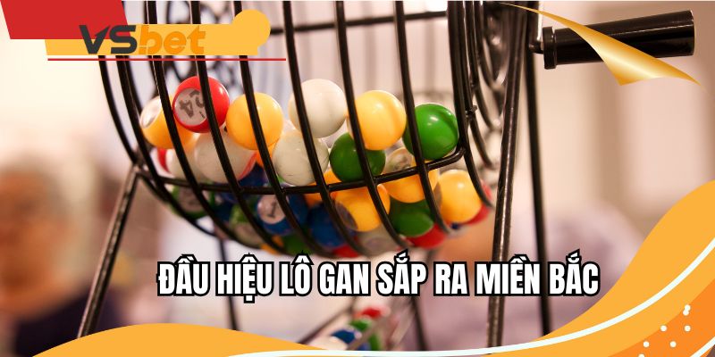 dau-hieu-lo-gan-sap-ra-mien-bac