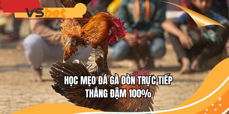 Học mẹo đá gà đòn trực tiếp thắng đậm 100%