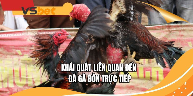 Khái quát liên quan đến đá gà đòn trực tiếp