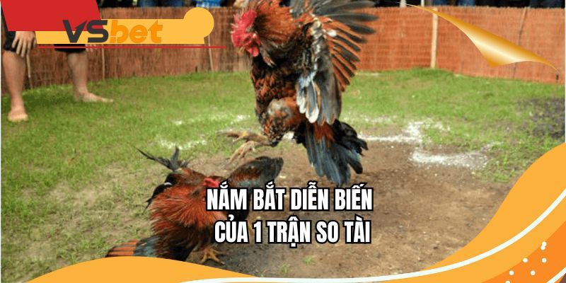 Nắm bắt diễn biến của 1 trận so tài